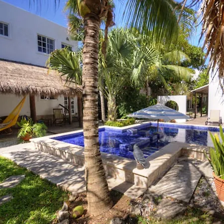 Villa Escondida Guest House Cozumel Downtown-2